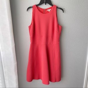 👗Cato Coral Dress
